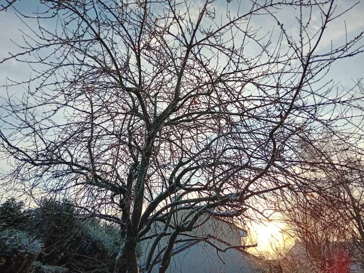 Pensée fugace sur la question de&nbsp;l’autonomie