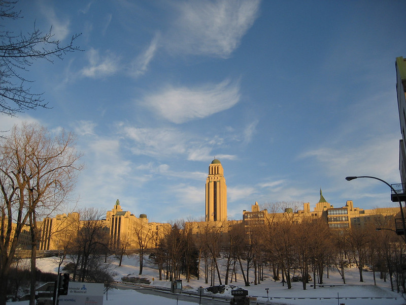 Le PhD version américaine : mon expérience de travail pour l’examen de synthèse (épisode&nbsp;2)