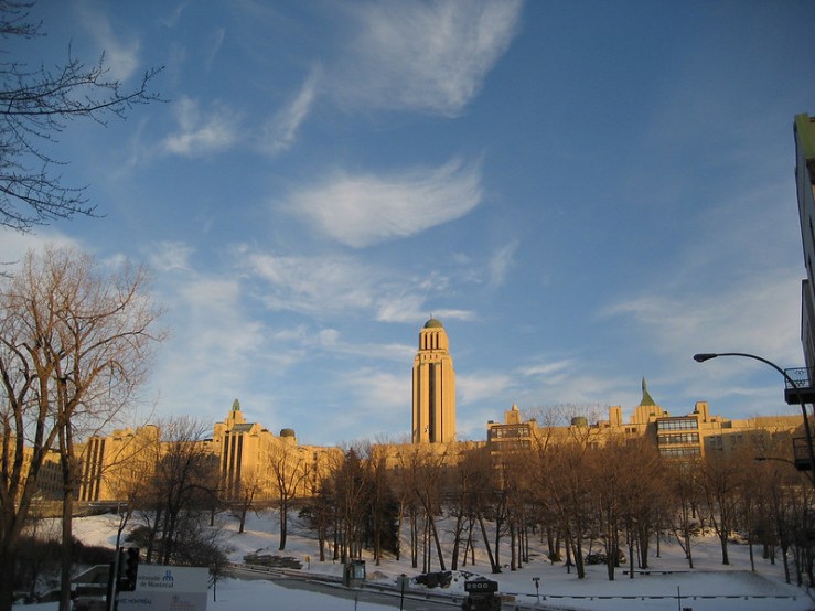 Le PhD version américaine : mon expérience de travail pour l’examen de synthèse (épisode 2)